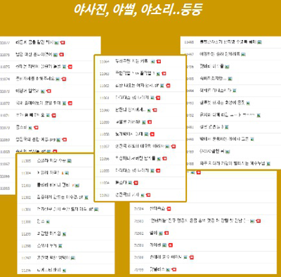 야한소설(야설)